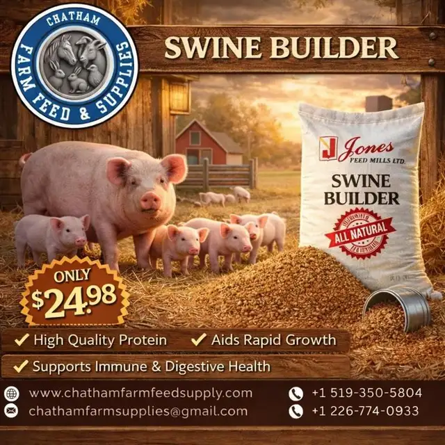 Swine Builder Feed ON SALE – Fast Growth Results!