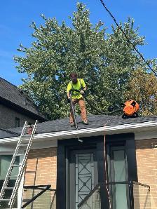 Newmarket Gutter Cl3aning - Photo 5