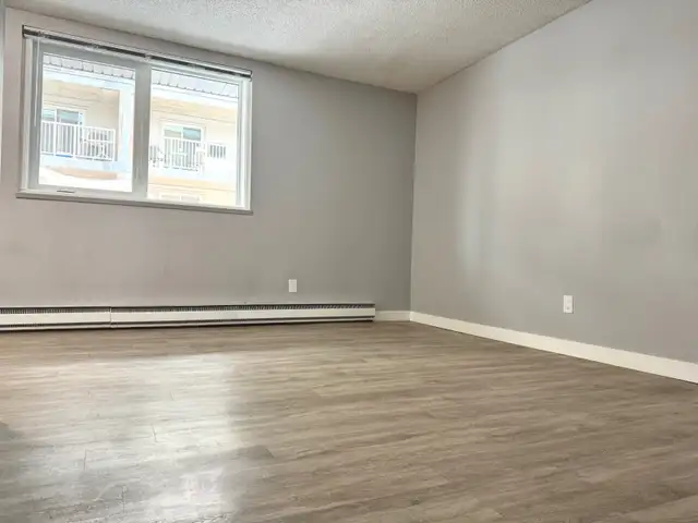 1-Bedroom Apartment Suites in St Vital - April 1st and May 1st - Photo 5