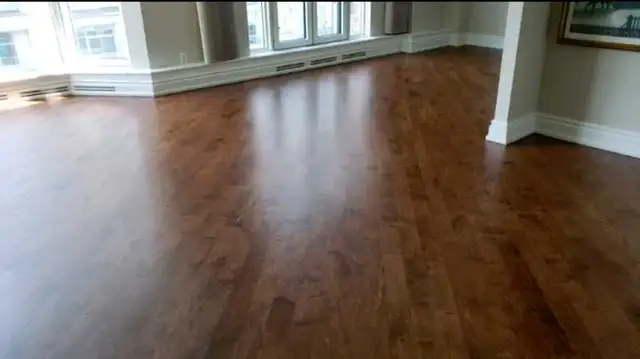 Dustless Floor Sander - Photo 10