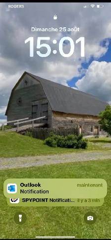 Fermette de 52 acres  en Estrie avec maison ancestrale .