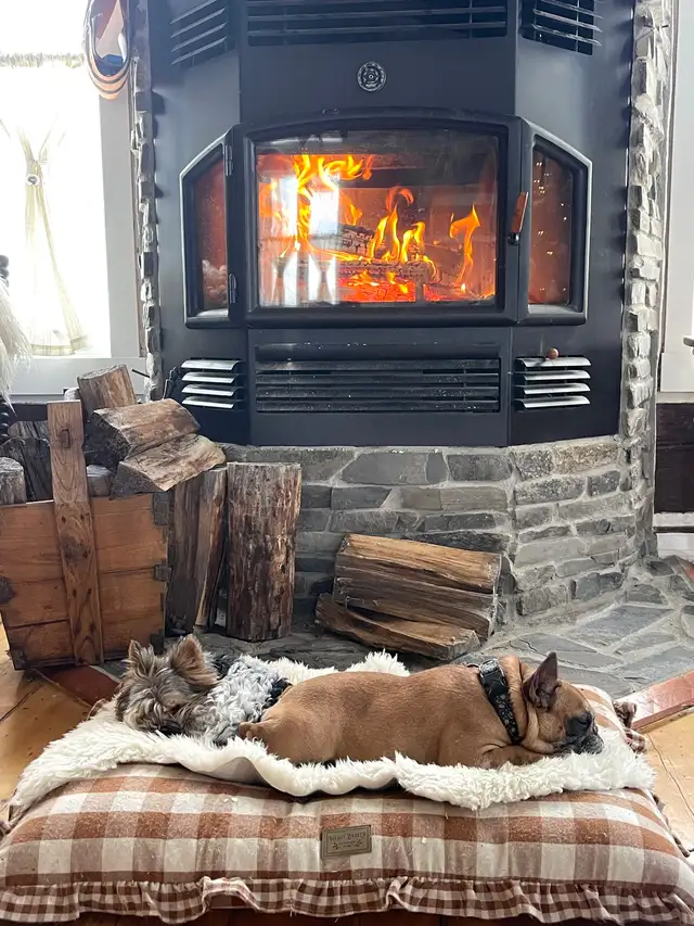 Fermette de 52 acres  en Estrie avec maison ancestrale . - Photo 8