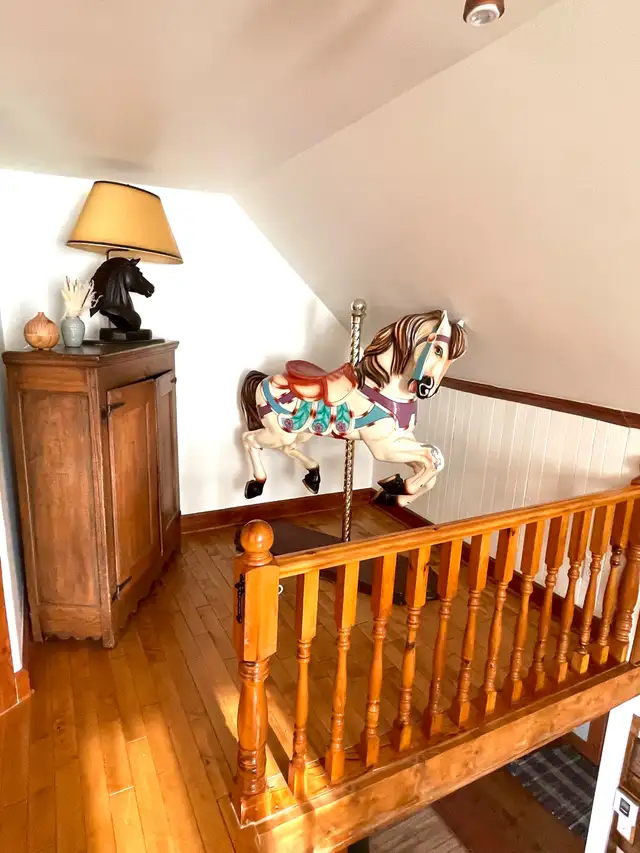 Fermette de 52 acres  en Estrie avec maison ancestrale . - Photo 18