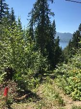 Shuswap Lake Lot