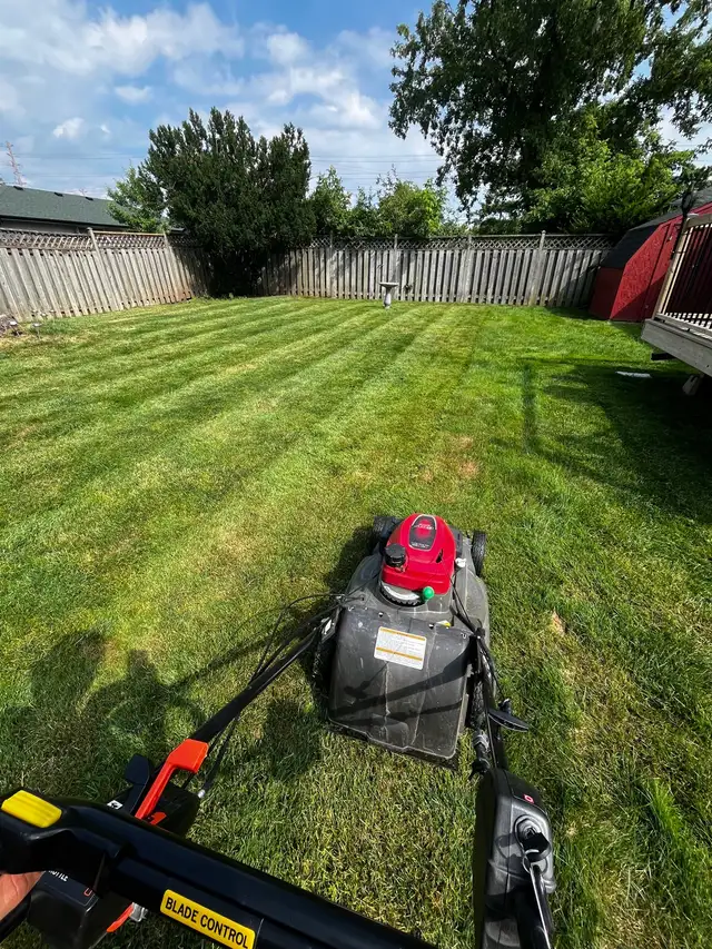 lawn maintenance