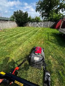 lawn maintenance