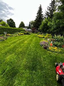 lawn maintenance - Photo 5