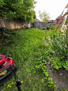lawn maintenance - Photo 8