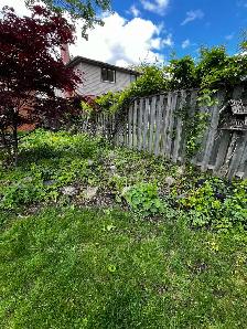 Spring cleaning! - Photo 4