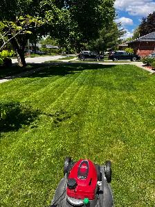 Spring cleaning! - Photo 6