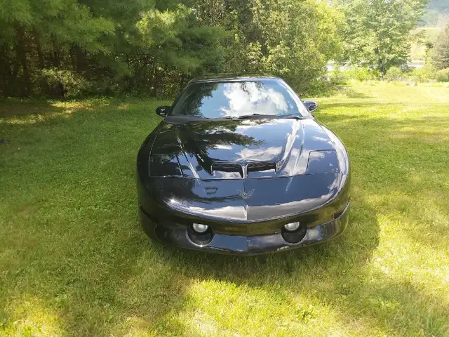 trans _am 1997 - Photo 2