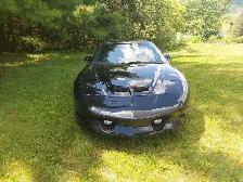 trans _am 1997 - Photo 2