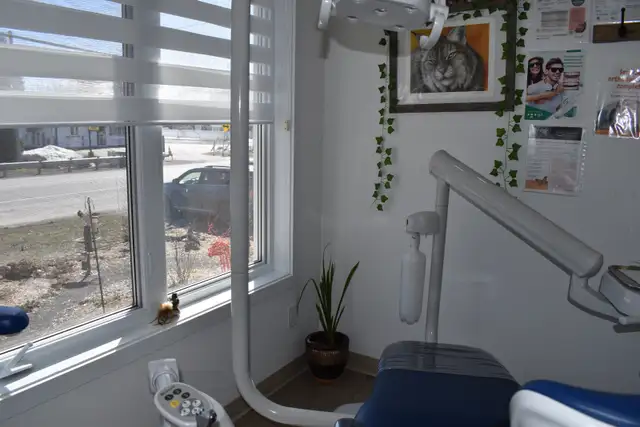 DENTAL HYGIENIST WANTED - HYGIÉNISTE DENTAIRE RECHERCHÉE - Photo 4