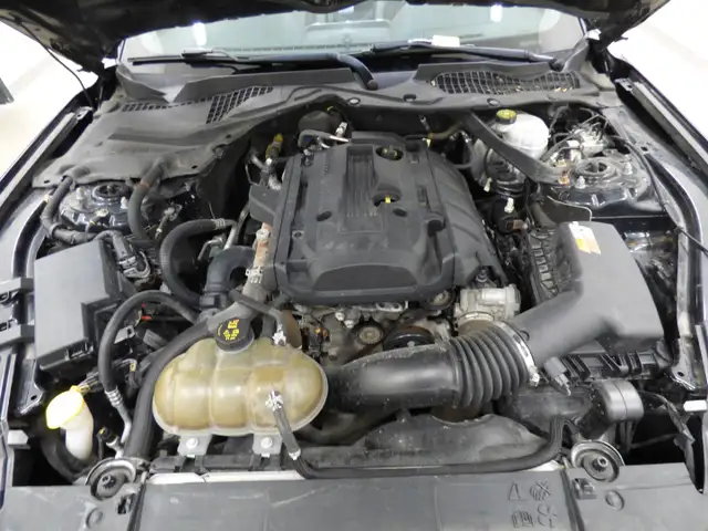 2018 FORD MUSTANG ECOBOOST PREMIUM CONVERTIBLE, FULL!! - Photo 35