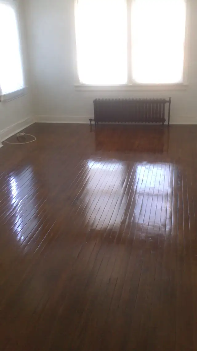 $1,200 Jackson park. Large one bedroom apartment. - Photo 2