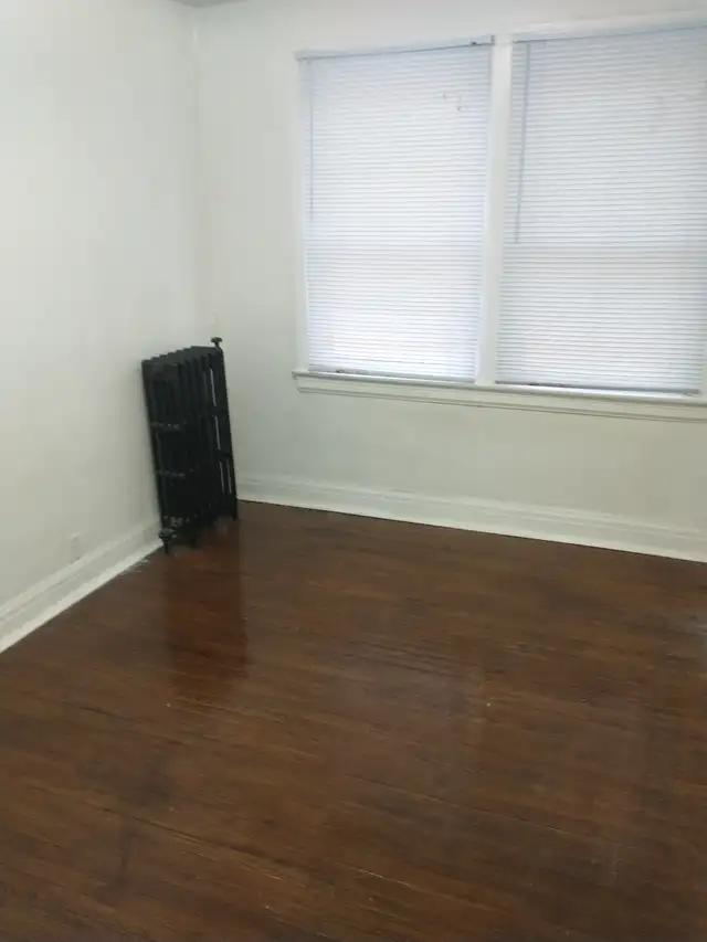 $1,200 Jackson park. Large one bedroom apartment. - Photo 4