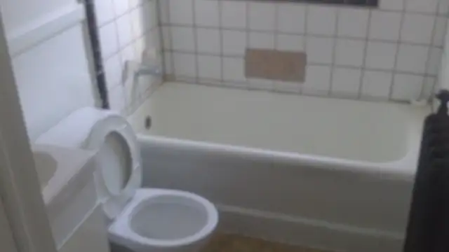 $1,200 Jackson park. Large one bedroom apartment. - Photo 9