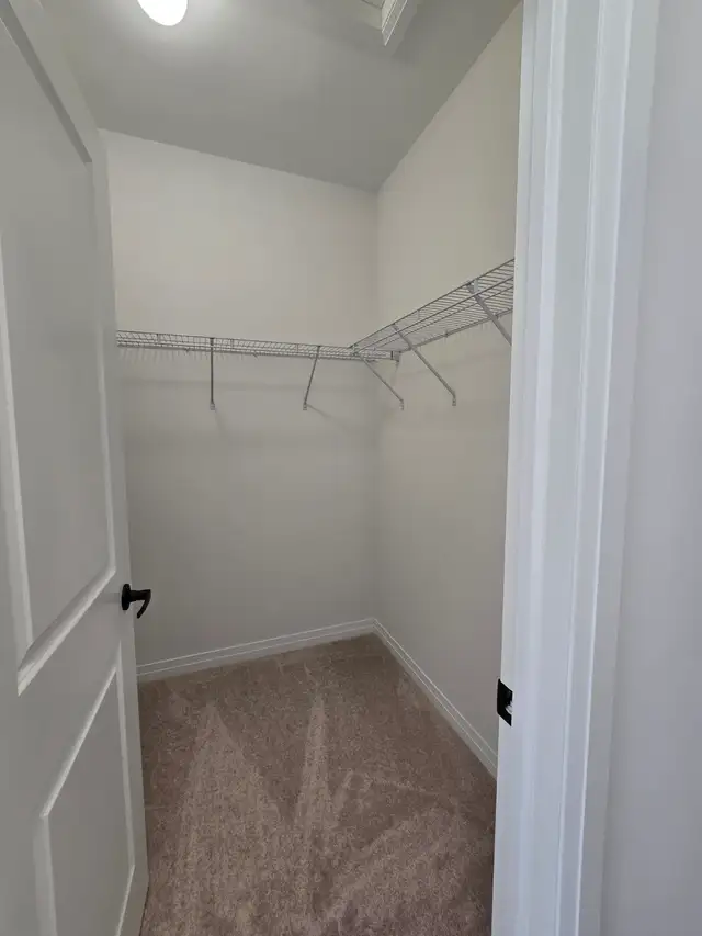 New 4-Bed House   Yard/Garage/Bsmt/AC/Laundry Incl (Auckland Dr) - Photo 10