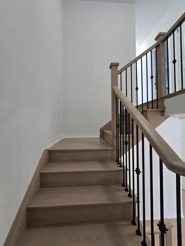 New 4-Bed House   Yard/Garage/Bsmt/AC/Laundry Incl (Auckland Dr) - Photo 19