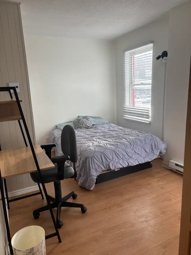 Très belle et grande chambre à louer, Marie Incarnation libre - Photo 15