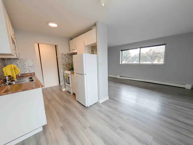 154 Lakeport Rd, St. Catharines (Unit 1) - 1 Bedroom Apartment - Photo 4