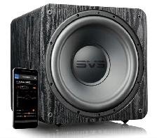 SVS SUBWOOFER