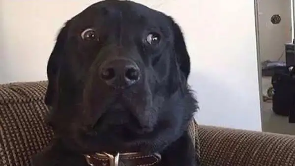 I’m need weekend work