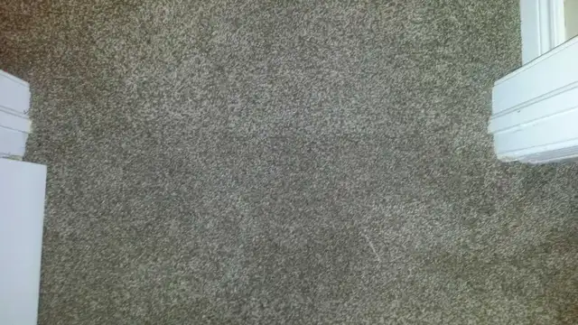 Carpet POWER Stretching and Repair... - Photo 6