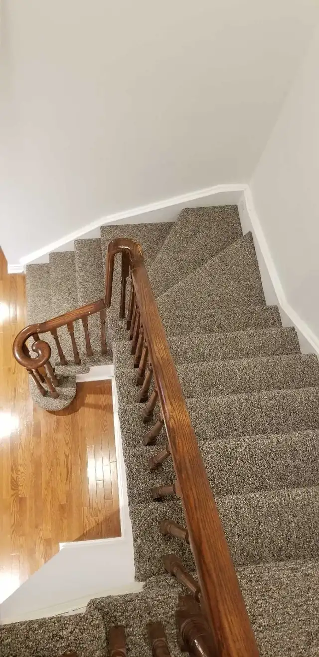 Carpet POWER Stretching,  Repair  and more... - Photo 2