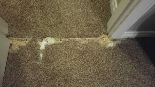 Carpet POWER Stretching,  Repair  and more... - Photo 3