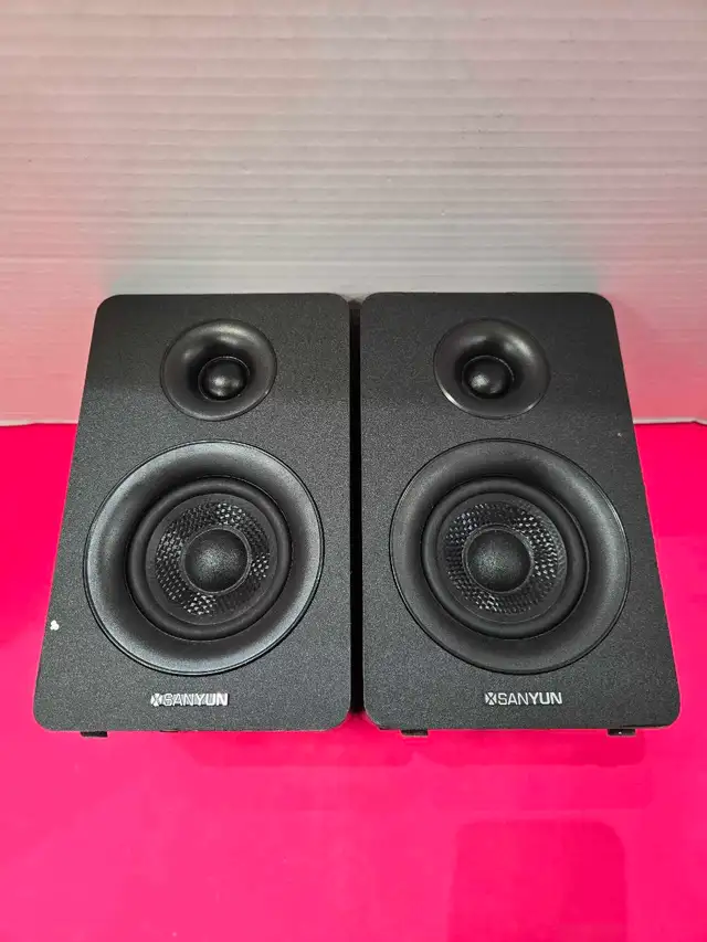 Sanyun Bookshelf Speaker Pair
