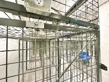 UBC Wordsworth by Polygon – 1 Bed   Den, High Floor, EV Parking - Photo 12