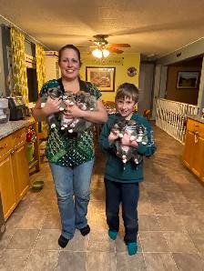 CKC registered Pembroke Welsh Corgi pups - Photo 3