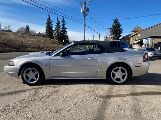 2004 Ford Mustang GT Convertible 40th Anniversary - Photo 2