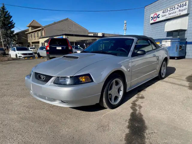 2004 Ford Mustang GT Convertible 40th Anniversary - Photo 3