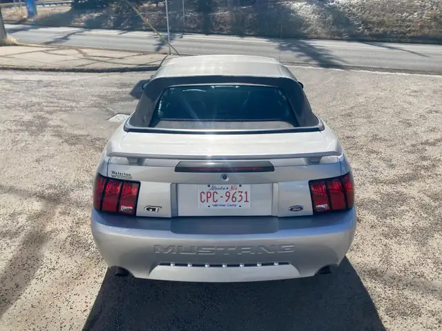 2004 Ford Mustang GT Convertible 40th Anniversary - Photo 5
