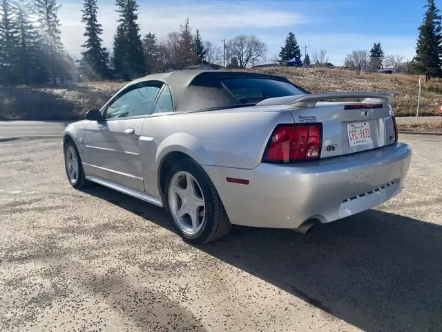 2004 Ford Mustang GT Convertible 40th Anniversary - Photo 6