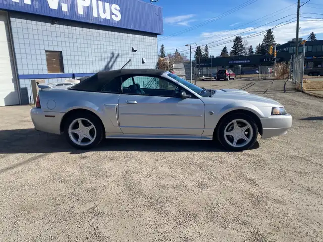 2004 Ford Mustang GT Convertible 40th Anniversary - Photo 7