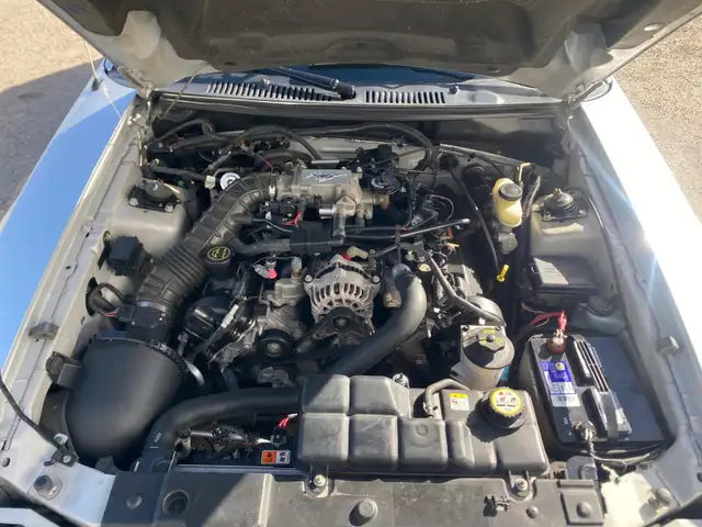 2004 Ford Mustang GT Convertible 40th Anniversary - Photo 8