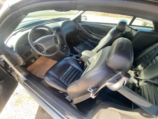 2004 Ford Mustang GT Convertible 40th Anniversary - Photo 9