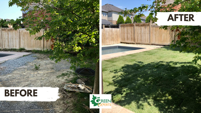 UNEVEN WET YARD? WATER NOT DRAINING? LANDSCAPING GRADING & SOD