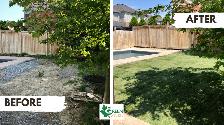 UNEVEN WET YARD? WATER NOT DRAINING? LANDSCAPING GRADING & SOD