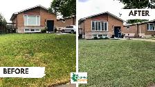 UNEVEN WET YARD? WATER NOT DRAINING? LANDSCAPING GRADING & SOD - Photo 6