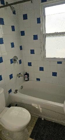 ALL INCLUSIVE 2 BEDROOMS APT.  CLOSE DOWNTOWN - Photo 2