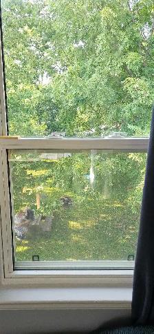 ALL INCLUSIVE 2 BEDROOMS APT.  CLOSE DOWNTOWN - Photo 3