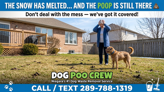 Dog waste Pooper Scoopers