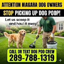 Dog waste Pooper Scoopers - Photo 2