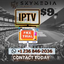 'SKYMEDIA's IPL Streaming Extravaganza!   '