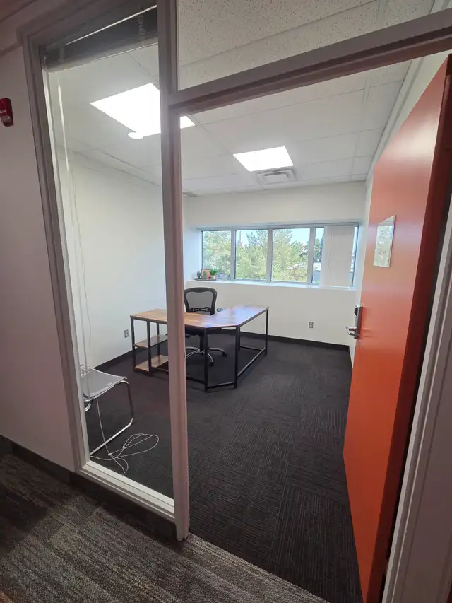 Fantastic office for a solopreneur, therapist or professional