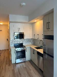 Furnished Bachelor Sublease -  The Revalie Ottawa – $1,200/mo - Photo 2